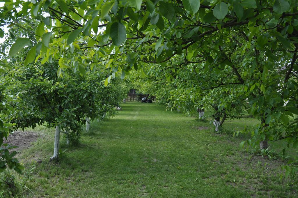 Agroturystyka Lulkowo Pension Buitenkant foto