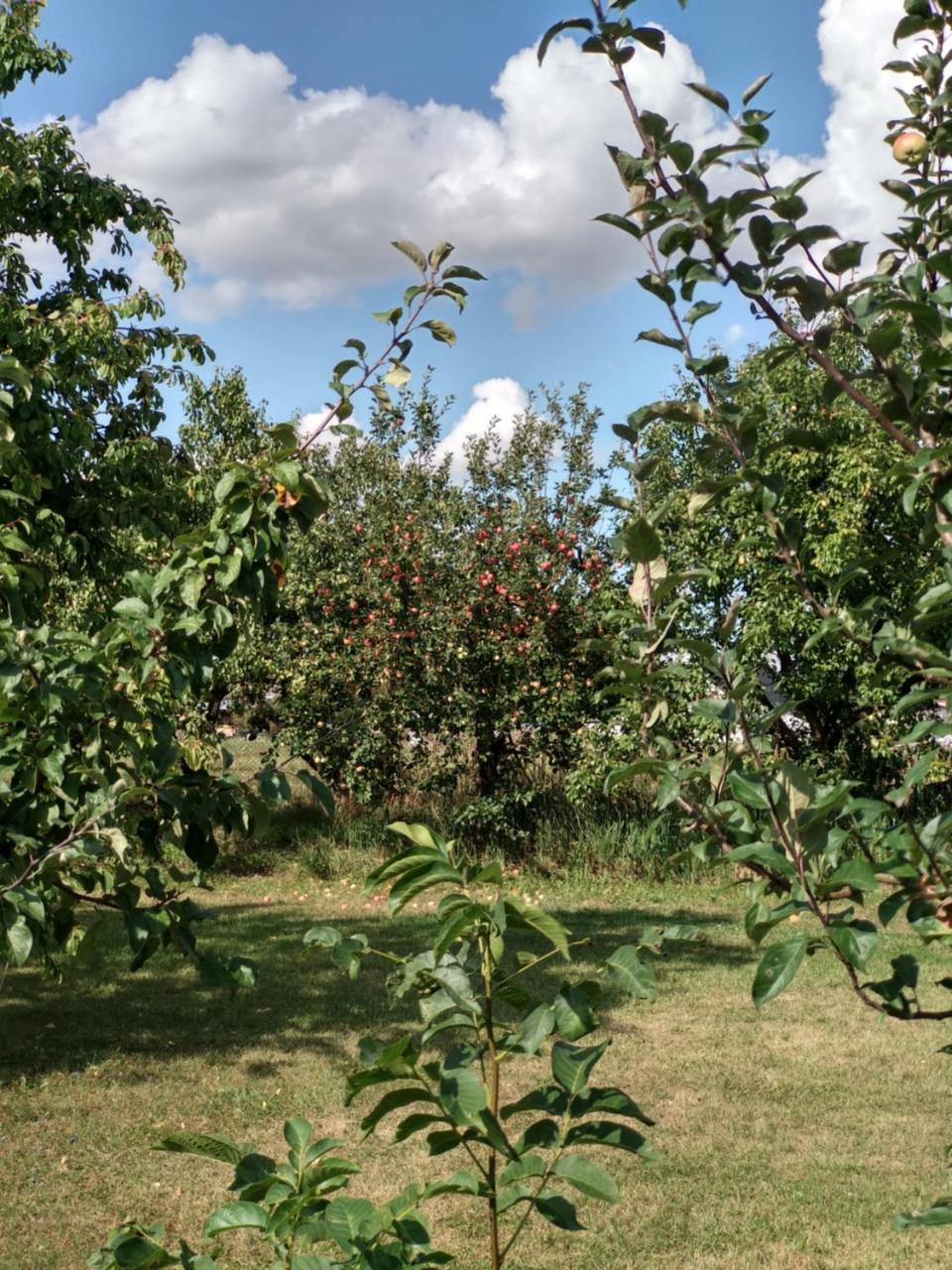 Agroturystyka Lulkowo Pension Buitenkant foto