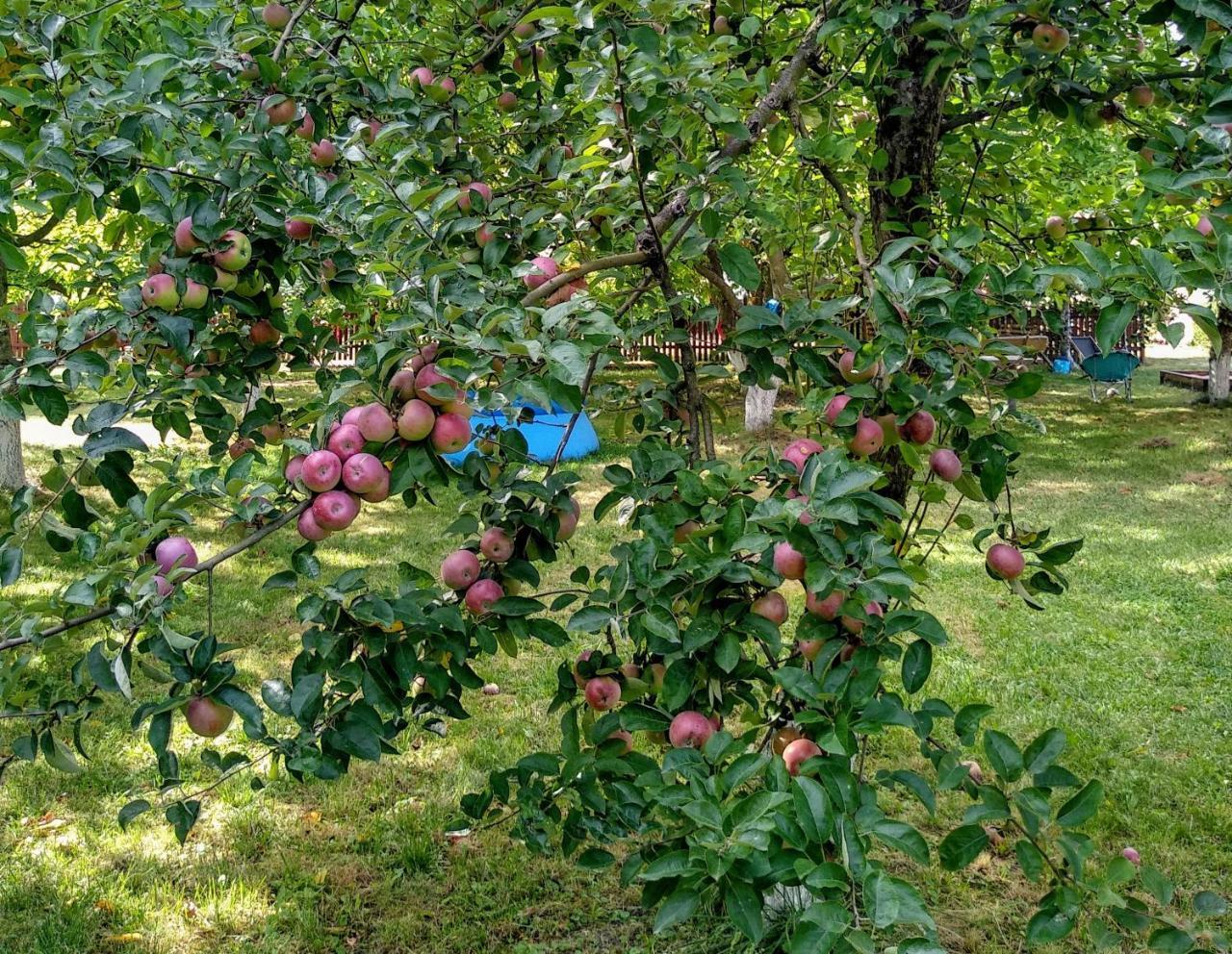 Agroturystyka Lulkowo Pension Buitenkant foto